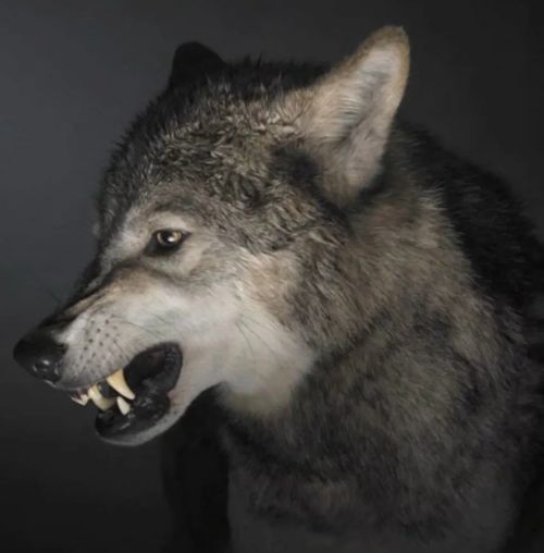 640.webp.jpg