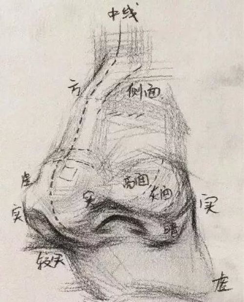 v2-e6f068add6e226a8ca5fc566a1392a3a_720w.jpg