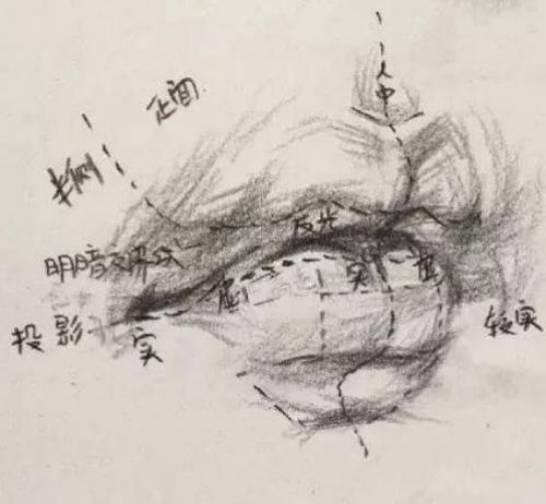 v2-e49c0edde557bbb30e6c3ab60e21190d_720w.jpg