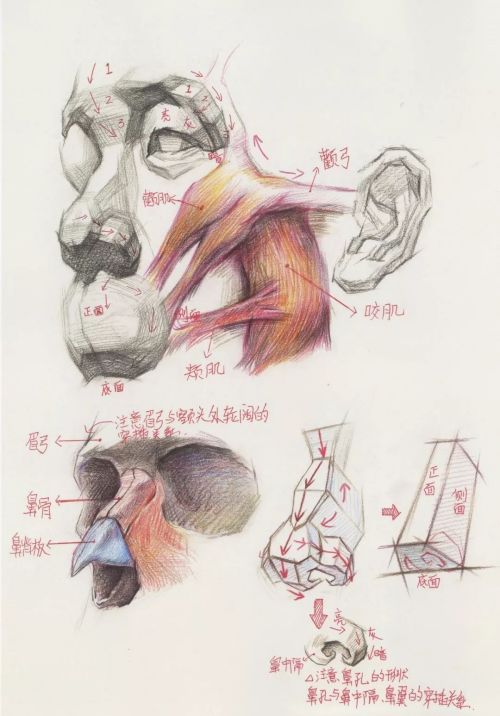 640 (16).jpg