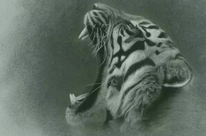 ϻŴ軭