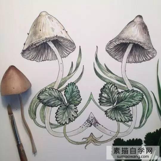 Ģ軭
