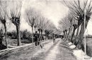 波拉德杨柳和扫帚的人 梵高素描·1881年