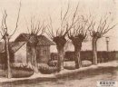 波兰柳树的一条路的小屋 文森特·梵高 ·1881年