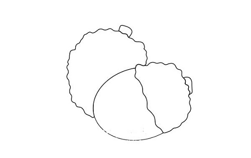荔枝简笔画怎么画 荔枝简笔画图片带颜色教程