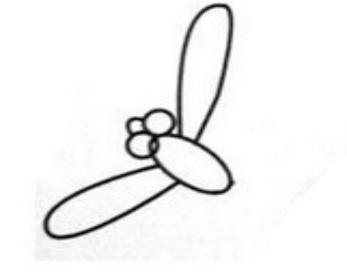 简单蜻蜓怎么画 儿童蜻蜓简笔画步骤图