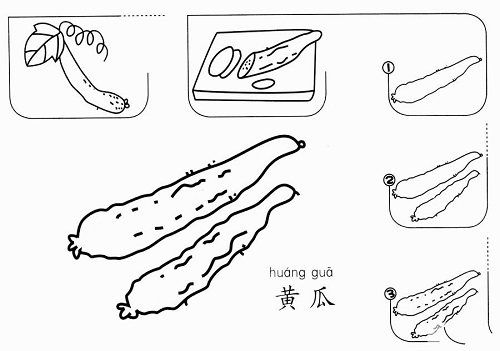 黄瓜怎么画 黄瓜简笔画图片步骤详细讲解