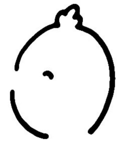 小鸭子怎么画 小鸭子简笔画超简单画法步骤
