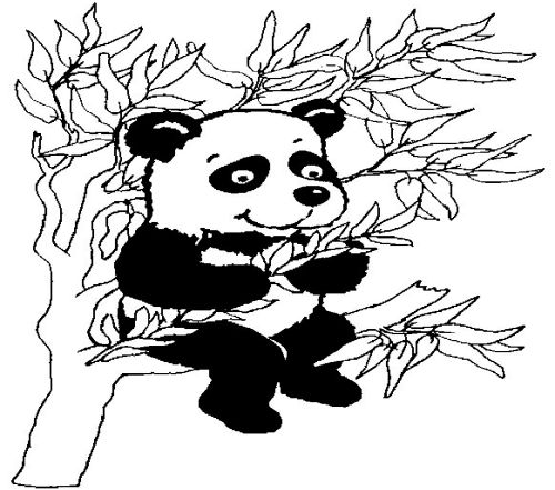 5张熊猫简笔画图片大全 小动物简笔画可爱