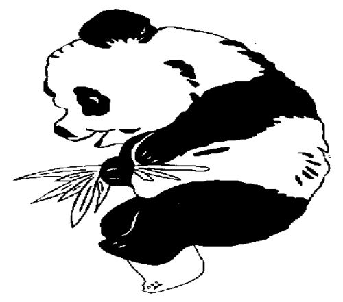 5张熊猫简笔画图片大全 小动物简笔画可爱