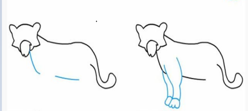 幼儿涂色老虎简笔画 简笔画老虎画法