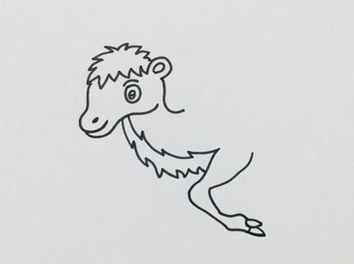可爱骆驼怎么画 儿童骆驼简笔画简单步骤彩色