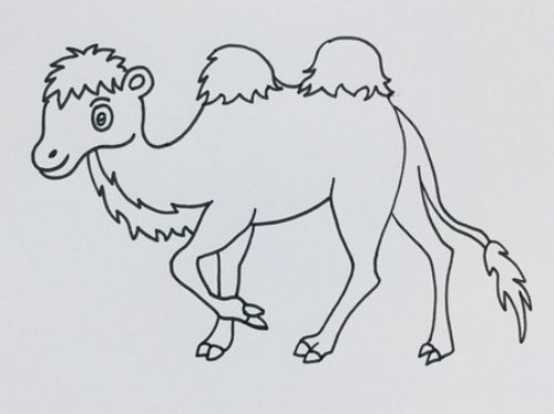 可爱骆驼怎么画 儿童骆驼简笔画简单步骤彩色