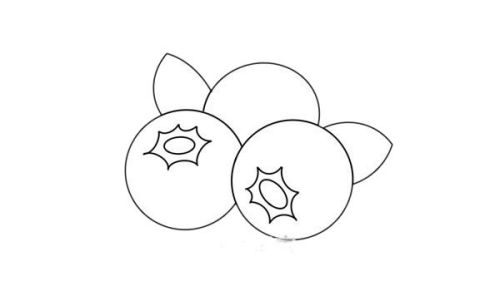 如何画蓝莓 蓝莓简笔画图片带颜色画法讲解