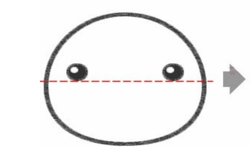 怎样画大象头 大象头简笔画正面图片彩色教学