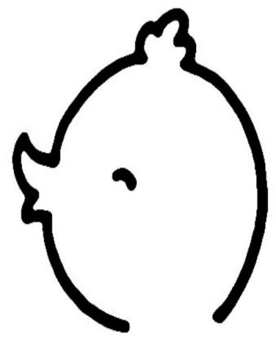小鸭子怎么画 小鸭子简笔画超简单画法步骤