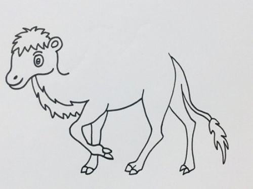 可爱骆驼怎么画 儿童骆驼简笔画简单步骤彩色