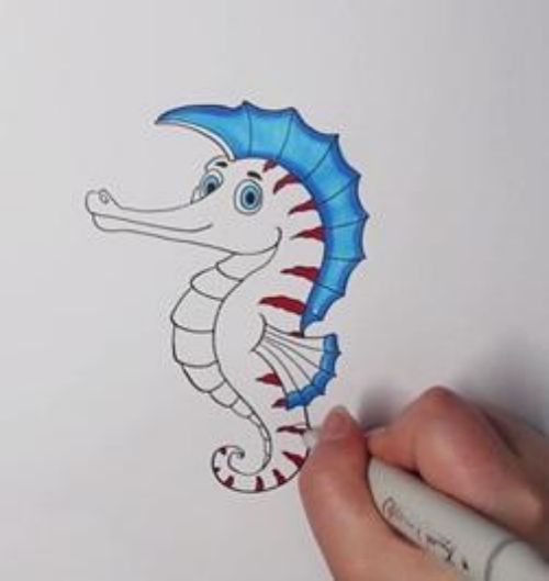 海马简笔画简单可爱 海马动物简笔画儿童步骤教程