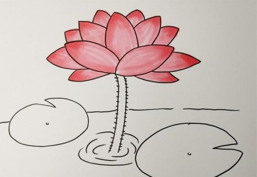 荷花简笔画怎么画 荷花简笔画简单又好看画法