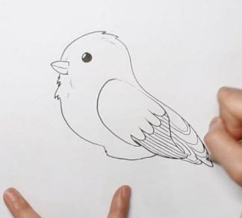 简笔画可爱小鸟 卡通小鸟简笔画彩色步骤图
