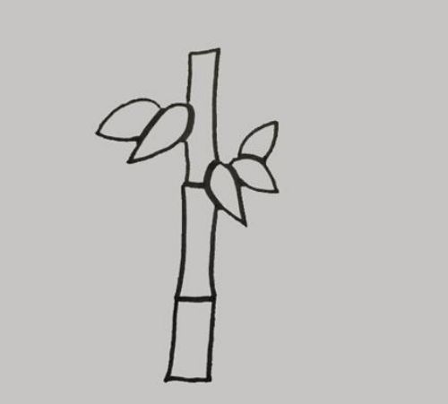 竹子简笔画好看又简单 竹子简笔画怎么画图片大全-素描自学网 竹子简笔画好看又简单 竹子简笔画怎么画图片大全