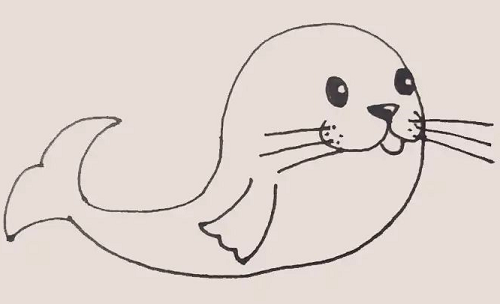 海豹简笔画怎么画 海豹简笔画图片步骤讲解
