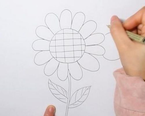 向日葵简笔画怎么画 向日葵简笔画图片大全彩色可爱
