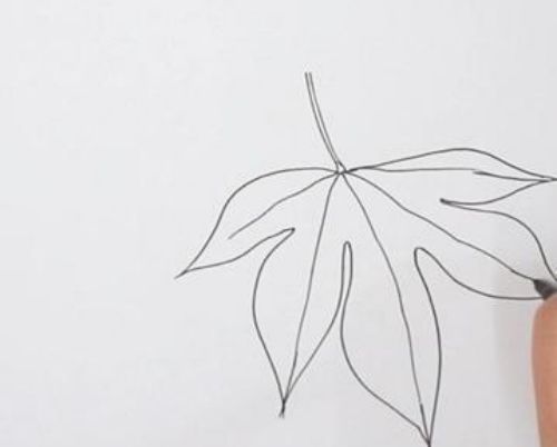 枫叶简笔画彩色怎么画 枫叶简笔画图片带颜色-素描自学网 枫叶简笔画彩色怎么画 枫叶简笔画图片带颜色