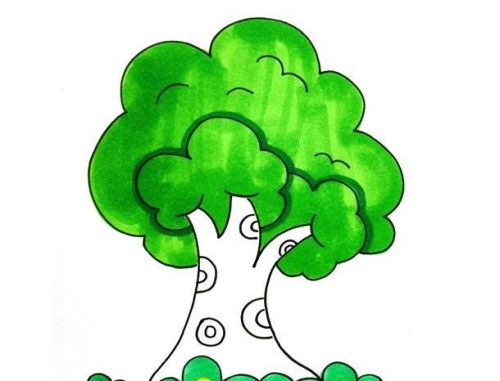 大树简笔画图片大全带颜色 大树简笔画怎么画-素描自学网 大树简笔画图片大全带颜色 大树简笔画怎么画