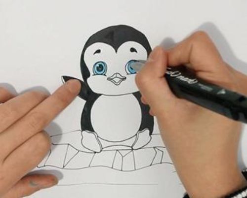 企鹅简笔画怎么画漂亮 企鹅简笔画彩色教程