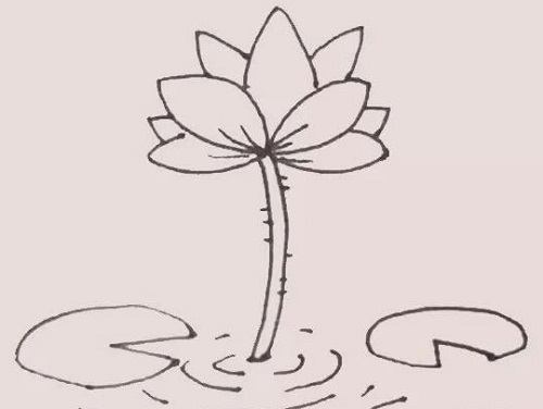 荷花简笔画简单好看图片 荷花简笔画带颜色画法