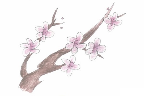 梅花简笔画怎么画 梅花简笔画图片带颜色简单画法