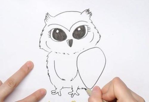 猫头鹰简笔画简单彩色 猫头鹰简笔画儿童步骤教程