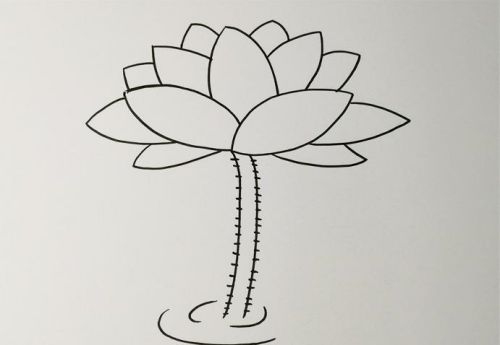 荷花简笔画怎么画 荷花简笔画简单又好看画法