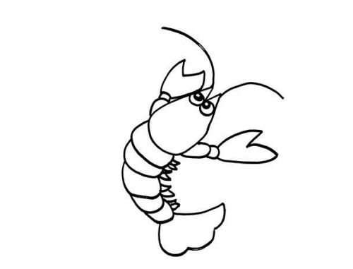 虾简笔画简单又漂亮 虾简笔画怎么画好看