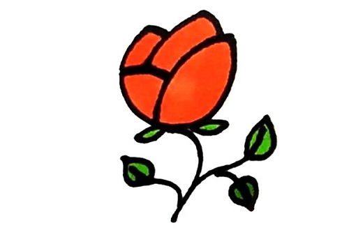 玫瑰花简笔画简单漂亮 玫瑰花简笔画一朵步骤