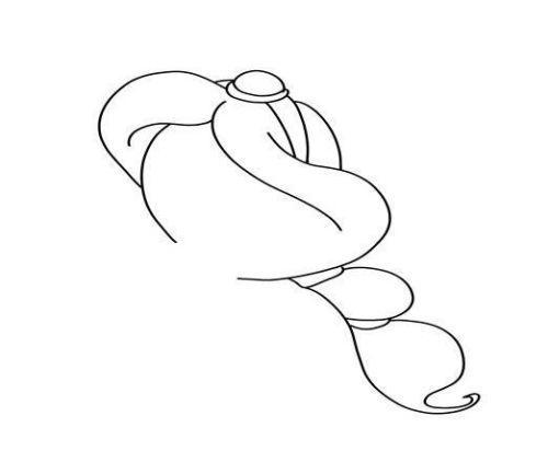 动画女孩怎么画 茉莉公主简笔画怎么画图片