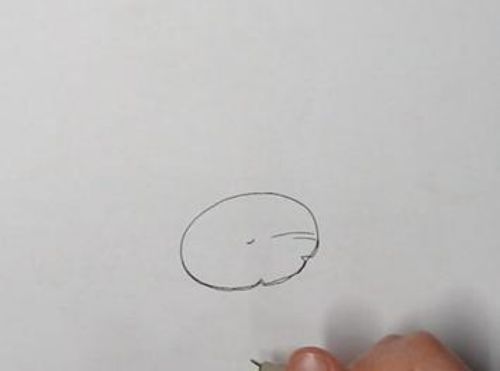 荷叶简笔画彩色漂亮图片 荷叶简笔画画法讲解