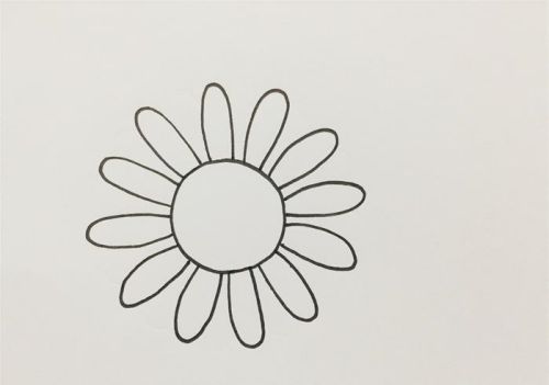雏菊简笔画图片带颜色 雏菊简笔画怎么画