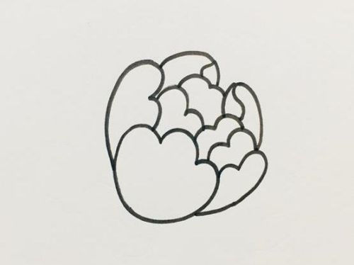 牡丹简笔画图片大全彩色 牡丹简笔画简单好看-素描自学网 牡丹简笔画图片大全彩色 牡丹简笔画简单好看