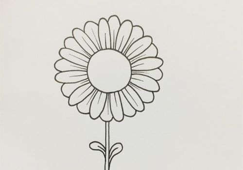 雏菊简笔画图片带颜色 雏菊简笔画怎么画