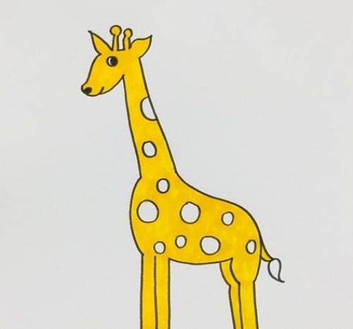长颈鹿简笔画可爱一步一步教学 长颈鹿简笔画彩色简单