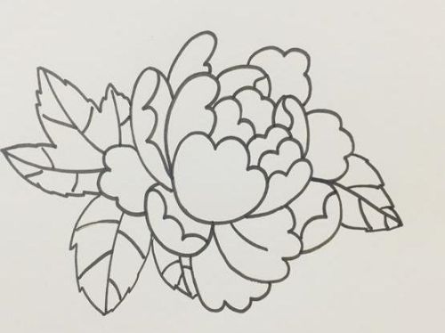 牡丹简笔画图片大全彩色 牡丹简笔画简单好看-素描自学网 牡丹简笔画图片大全彩色 牡丹简笔画简单好看