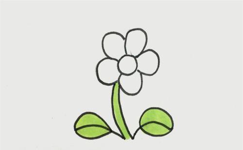 花朵简笔画简单又好看 花朵简笔画怎么画