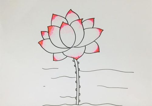 荷花简笔画简单又好看画法 荷花简笔画怎么画