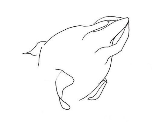 火龙果简笔画怎么画 火龙果简笔画可爱带颜色画法