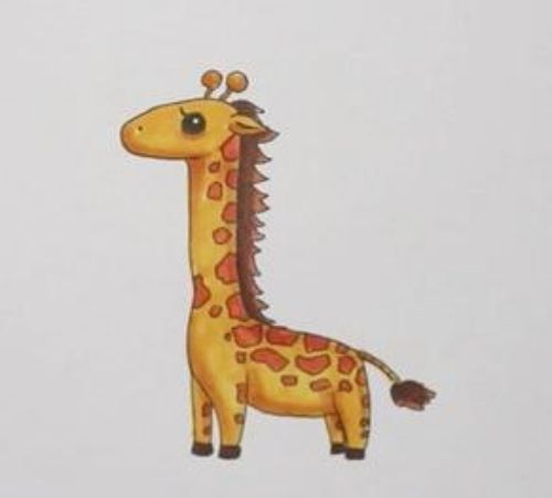长颈鹿简笔画大全带颜色可爱 长颈鹿简笔画彩色可爱