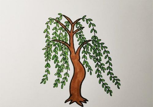 柳树简笔画怎么画 柳树简笔画图片带颜色简单画法