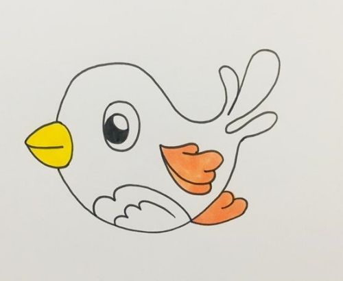 小鸟简笔画可爱一步一步教学 小鸟简笔画彩色简单