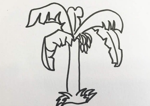 香蕉树简笔画怎么画 香蕉树简笔画彩色画法图解